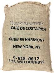 Costa Rica Harmony Red Honey Catuai